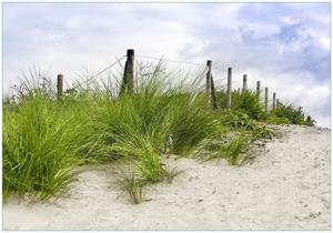 Wallario Vliestapete »Auf dem Weg zum Strand durch Dünen«, Seidenmatte Oberfläche, hochwertiger Digitaldruck, in verschiedenen Größen erhältlich