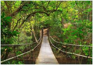 Wallario Vliestapete »Hängebrücke im Urwald grüner Dschungel«, Seidenmatte Oberfläche, hochwertiger Digitaldruck, in verschiedenen Größen erhältlich