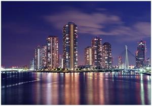 Wallario Vliestapete »Tokyo- Skyline bei Nacht«, Seidenmatte Oberfläche, hochwertiger Digitaldruck, in verschiedenen Größen erhältlich