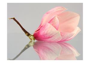 Basera Fototapete »Magnoliamotiv 100406-69«, Vliestapete