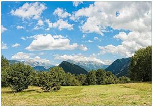 Wallario Vliestapete »Bergwiese in den Alpen«, Seidenmatte Oberfläche, hochwertiger Digitaldruck, in verschiedenen Größen erhältlich