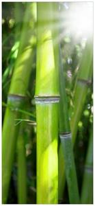 Wallario Türtapete »Bambus im Sonnenschein«, glatt, ohne Struktur