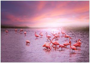 Wallario Vliestapete »Rosa Flamingos bei Sonnenuntergang«, Seidenmatte Oberfläche, hochwertiger Digitaldruck, in verschiedenen Größen erhältlich