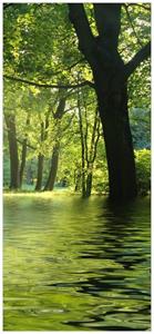 Wallario Türtapete »Idyllischer See im Wald bei Sonnenschein«, glatt, ohne Struktur