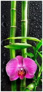 Wallario Türtapete »Bambus und pinke Orchidee auf schwarzem Glas mit Regentropfen«, glatt, ohne Struktur