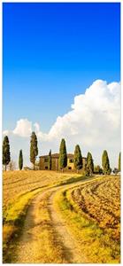 Wallario Türtapete »Italien - Toskana unter blauem Himmel einsame Farm«, glatt, ohne Struktur