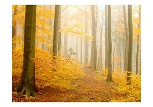Basera Fototapete »Waldmotiv 100403-102«, Vliestapete
