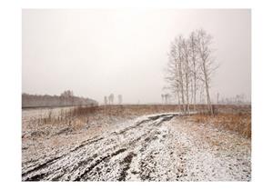 Basera Fototapete »Waldmotiv 100403-190«, Vliestapete