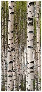 Wallario Türtapete »Birkenwald - Baumstämme in schwarz weiß«, glatt, ohne Struktur