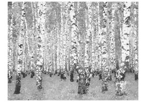 Basera Fototapete »Waldmotiv 10040903-64«, Vliestapete