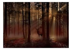 KUNSTLOFT Vliestapete »Mystical Forest - First Variant«, lichtbeständige Design Tapete