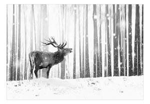 KUNSTLOFT Vliestapete »Deer in the Snow (Black and White)«, lichtbeständige Design Tapete