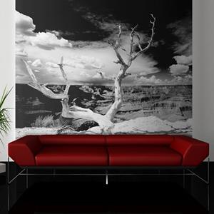 KUNSTLOFT Vliestapete »Baum mit Grand Canyon im Hintergrund«, lichtbeständige Design Tapete