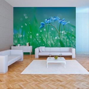 KUNSTLOFT Vliestapete »Blick auf die Wiese in den frühen Morgenstunden«, lichtbeständige Design Tapete