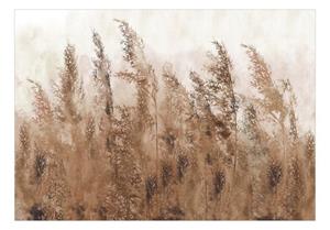 KUNSTLOFT Vliestapete »Tall Grasses - Brown«, lichtbeständige Design Tapete