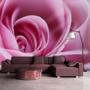 KUNSTLOFT Vliestapete »Rosa Rosa«, lichtbeständige Design Tapete