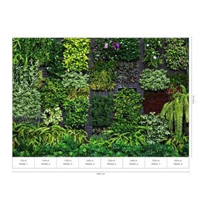 Erismann Vliestapete » Vliestapete Hanging Garden - 2227-10«, grün, trocken abziehbar, schwer entflammbar, waschbeständig, Lichtbeständig