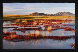 1art1 Fußmatte »Seen - Uws-Nuur Becken Der Großen Seen In Der Mongolei«, , Höhe 5 mm