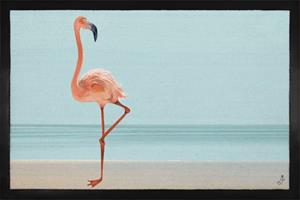 1art1 Fußmatte »Flamingos - Ein Schöner Flamingo«, , Höhe 5 mm