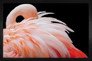 1art1 Fußmatte »Flamingos - Flamingo Mit Schönen Federn«, , Höhe 5 mm