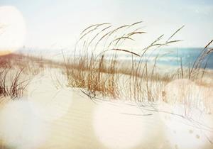 Wallarena Fototapete »Strand Meer Natur Vlies Tapete Wohnzimmer Schlafzimmer Wandtapete«, Glatt, Landschaft, Vliestapete inklusive Kleister