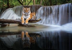 Wallarena Fototapete »Wasserfall Tigre Natur Vlies Tapete Wohnzimmer Schlafzimmer Wandtapete«, Glatt, Landschaft, Vliestapete inklusive Kleister