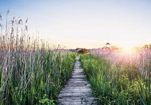 Wallarena Fototapete »Landschaft Pier Weg Vlies Tapete Wohnzimmer Schlafzimmer Wandtapete«, Glatt, Natur, Vliestapete inklusive Kleister