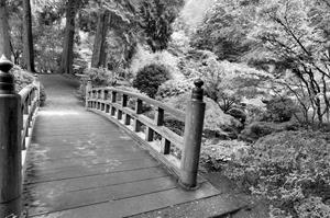 Papermoon Fototapete "Brücke Schwarz & Weiß"