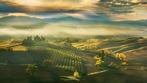 Papermoon Fototapete "Photo-Art KRZYSZTOF BROWKO, HERBST"