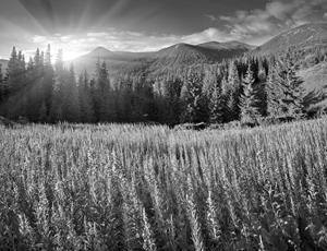 Papermoon Fototapete "Landschaft Schwarz & Weiß"