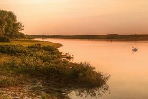 Papermoon Fototapete Fluss am Wald