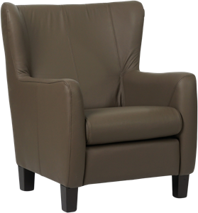 ShopX Leren fauteuil hug 127 bruin, bruin leer, bruine stoel