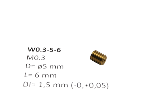 Crazytoys W0.3-5-6 M0.3 D=ø5 L=6 DI=1.5 mm wormwiel