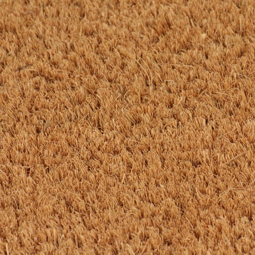 Fußmatte Fußabtreter Schmutzfangmatte Türmatte Fußmatte Natur 50x80 cm Kokosfas, vidaXL, Rechteck, Höhe: 0 mm
