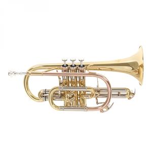 Roy Benson CR302 Bb Cornet Lacquer