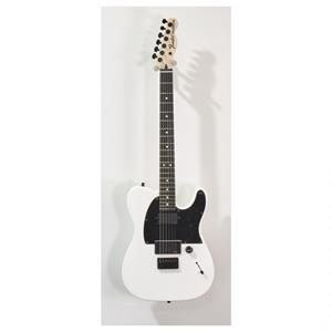 Fender Jim Root Telecaster Flat White - Ex demo