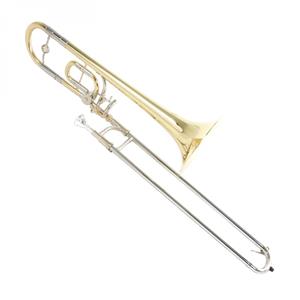 Roy Benson TT220 Bb/C Trombone for Children