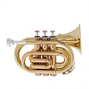 Stagg TR245S Pocket Trumpet Lacquer - Nearly New