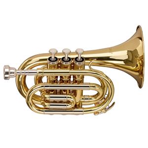 Stagg Levante by  Pocket Trumpet Lacquer