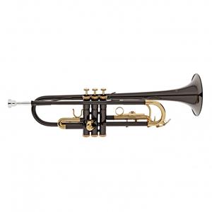 Roy Benson TR101K Bb Trumpet Black and Gold