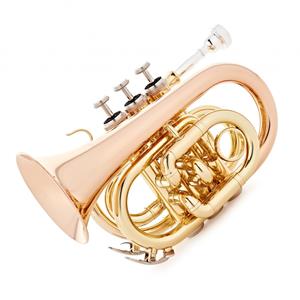 Roy Benson PT101G Pocket Trumpet Gold Brass Bell