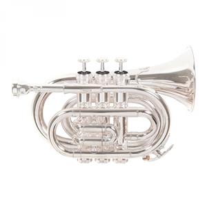 Roy Benson PT101S Pocket Trumpet Silver