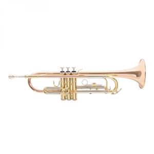 Roy Benson TR202 Bb Trumpet Gold Brass Bell