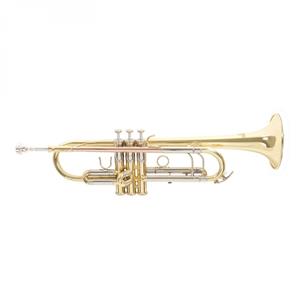 Roy Benson TR403 Bb Trumpet Lacquer