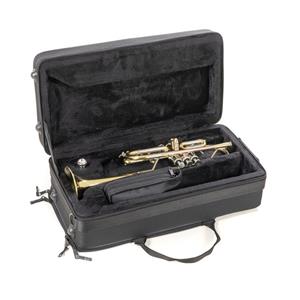 Roy Benson TR402C C Trumpet Lacquer