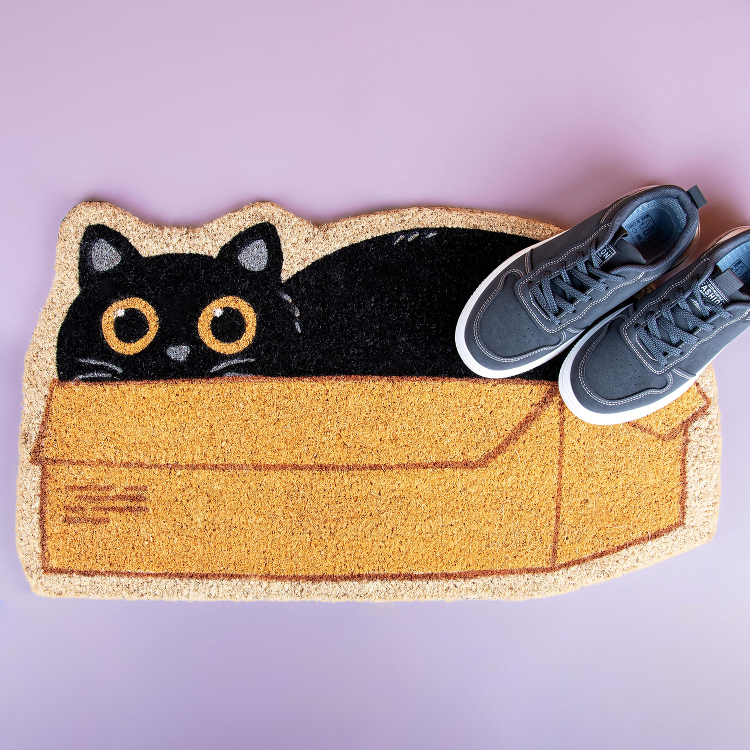 Fisura Kat In Doos Deurmat