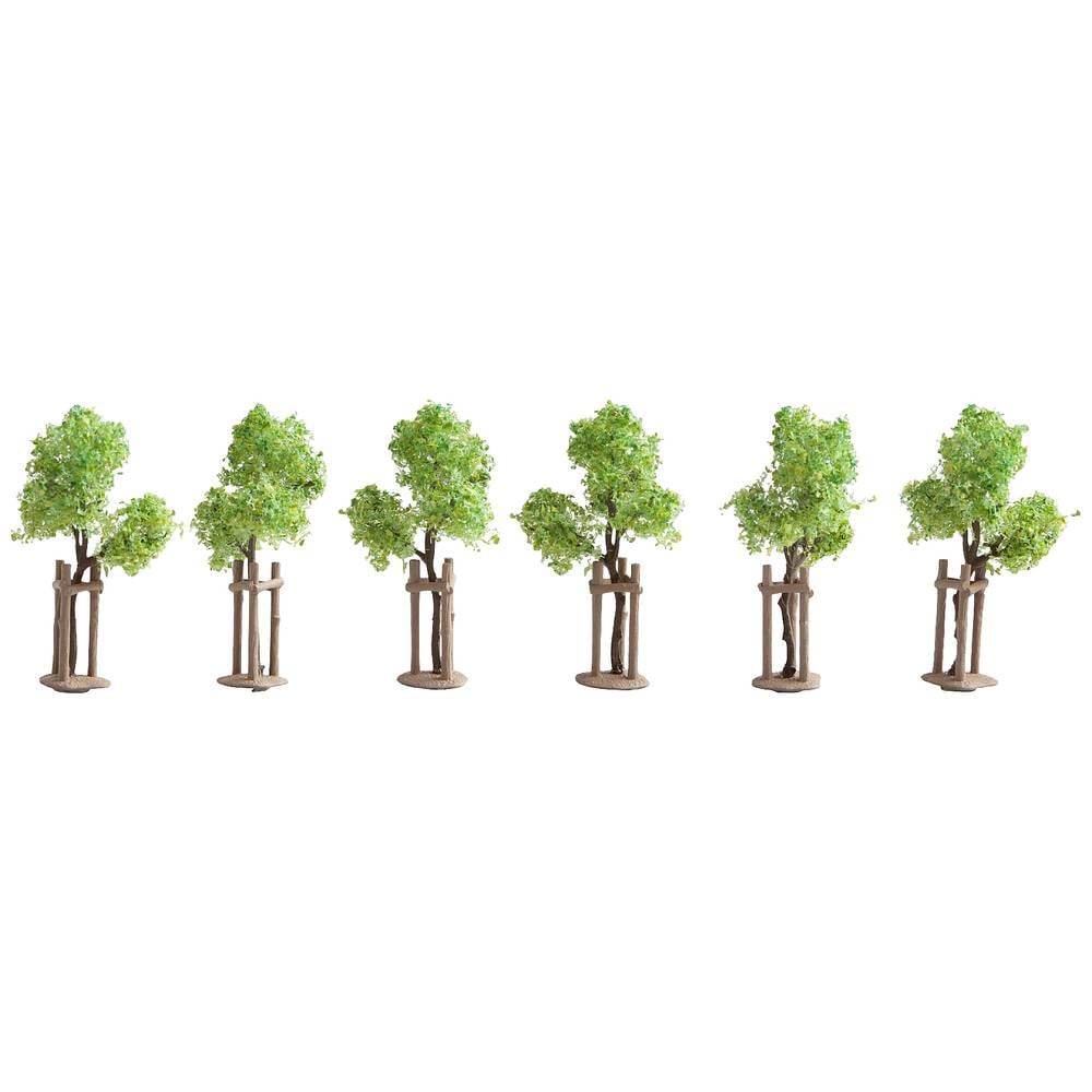 NOCH 21538 Set bomen Jonge boom 40 cm (min) 6 stuk(s)