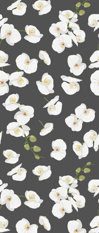 Tenstickers Behang bloemen Witte orchideeën