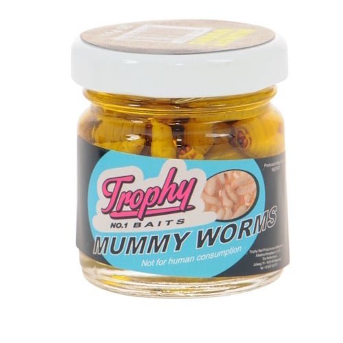 Trophy Baits Mummy Worms geconserveerde wasmotten - verkrijgbaar in White, Yellow, Red, Green en Orange (25 stuks) Yellow 25 Stuks