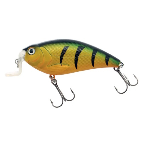 Predox XS-Pro Super Bee 9,2CM 17g - drijvende plug met krachtige actie en holografische afwerking Green Perch